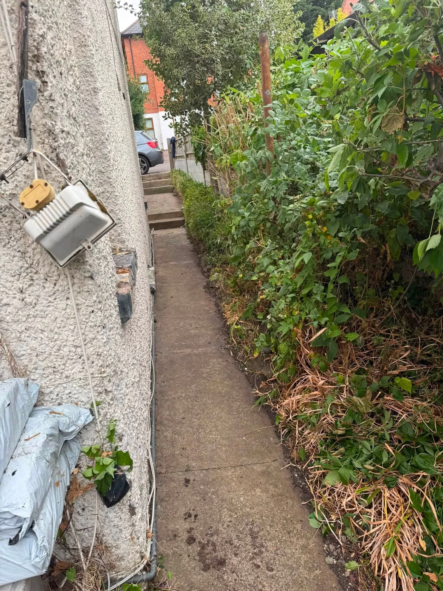 Narrow Evesham garden path after clearance, with the paving more visible