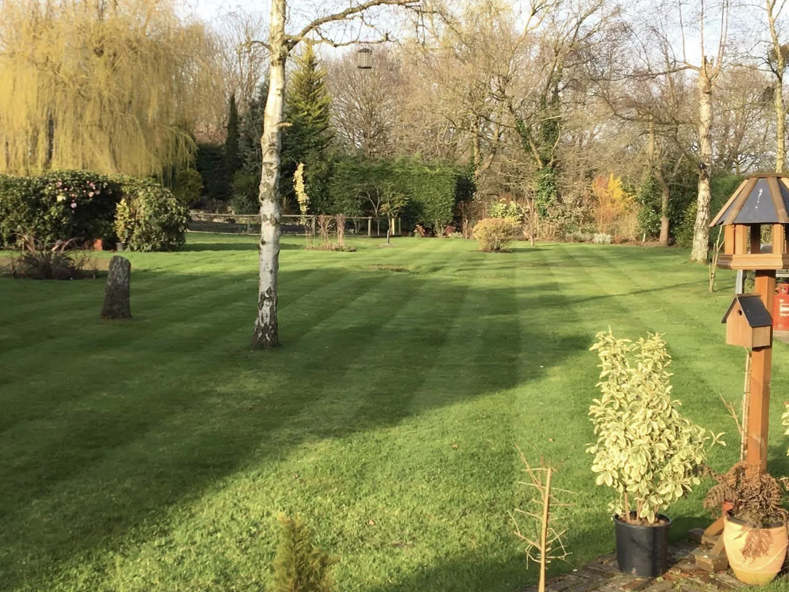 Large striped lawn with mature trees and established planting