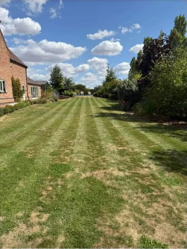 Long garden lawn after mowing